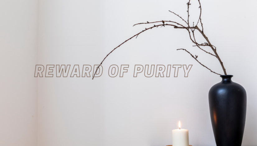 reward of purity