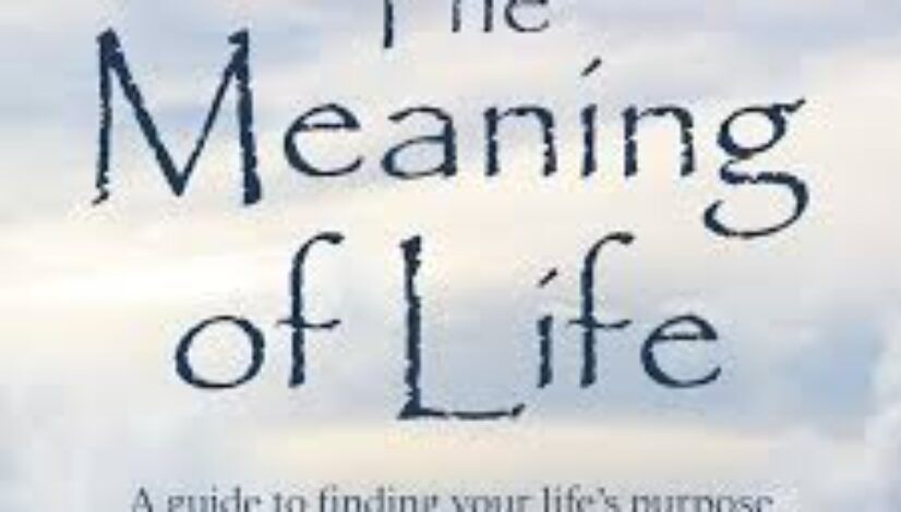 Meaning of life